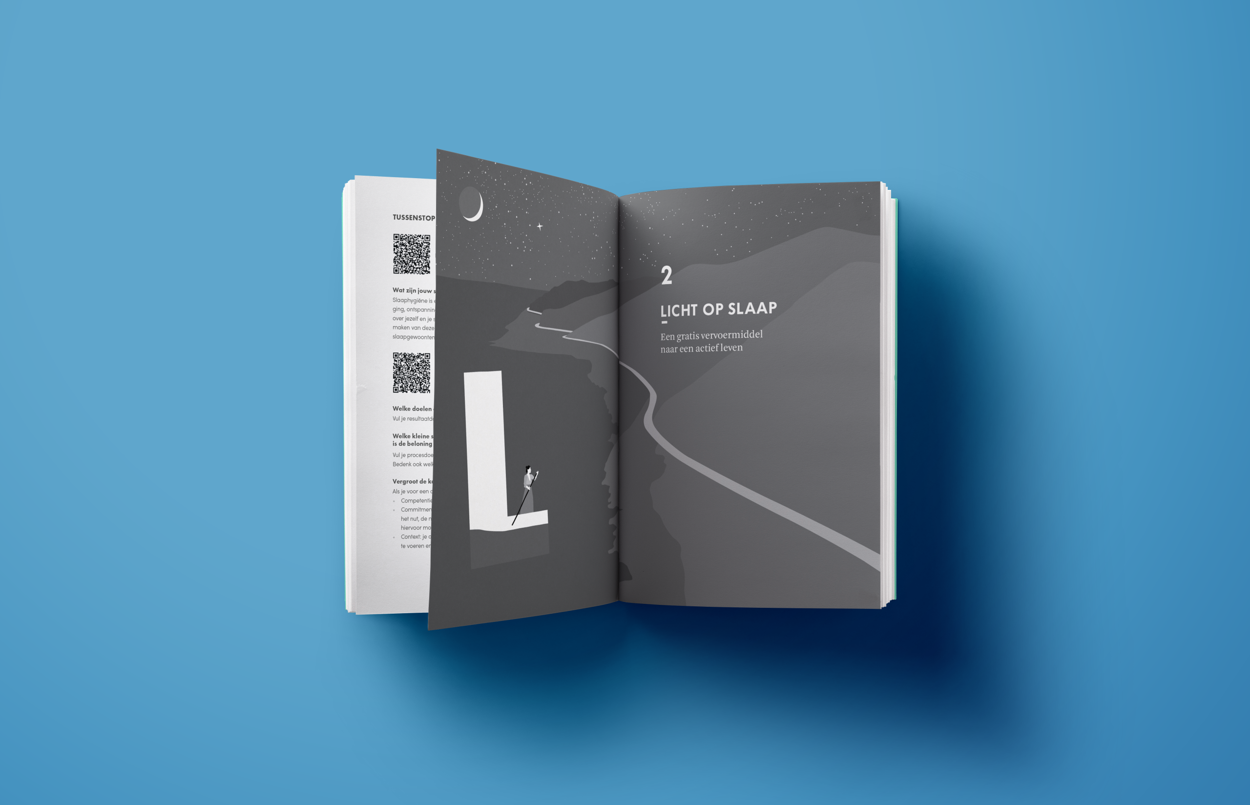 Bestel boek De Slaapgids