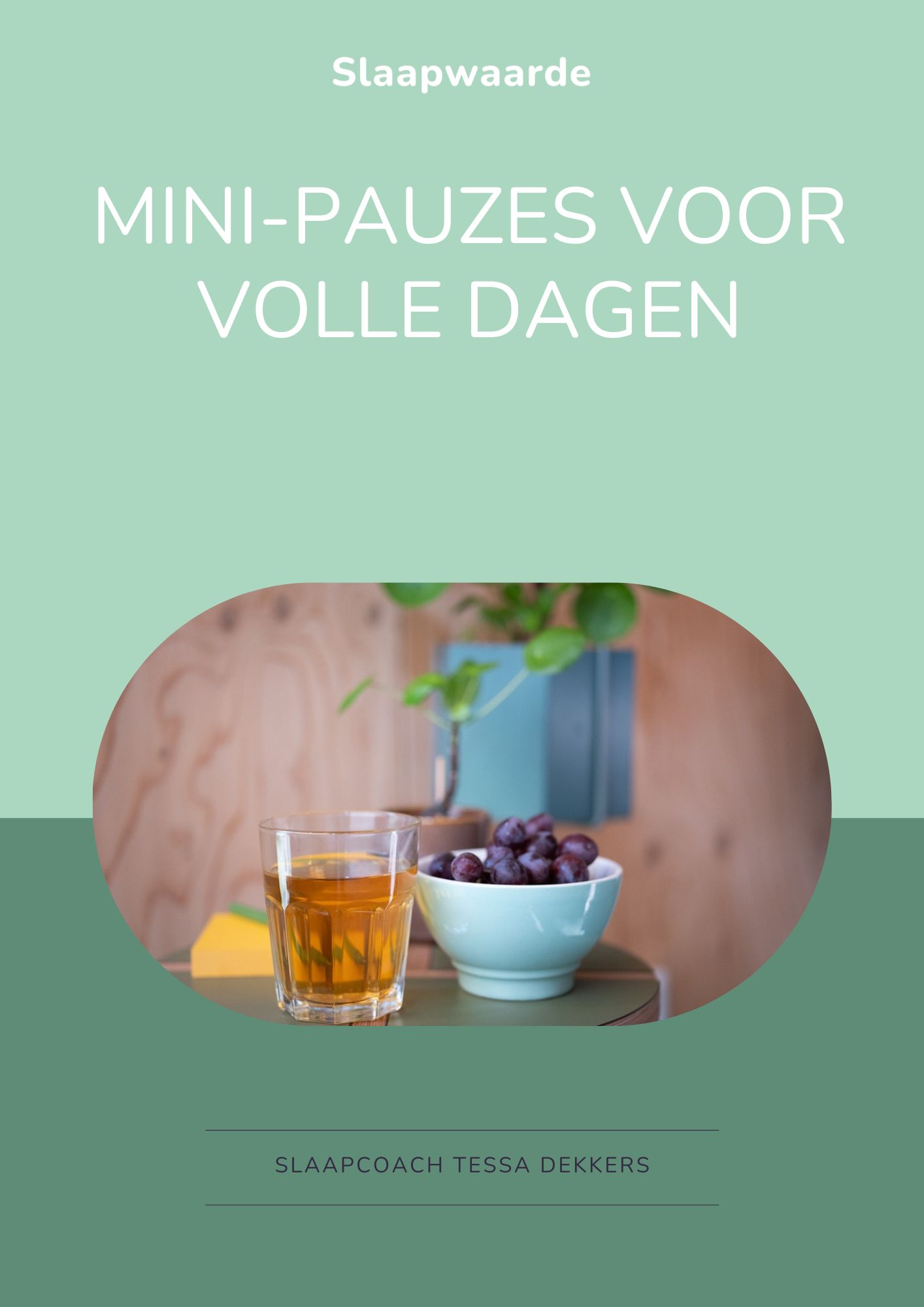 titelblad mini-pauzes voor volle dagen.